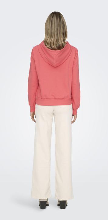 Immagine prodotto Only ONLNOLI Sweatshirt Kapuzenpullover (XL)