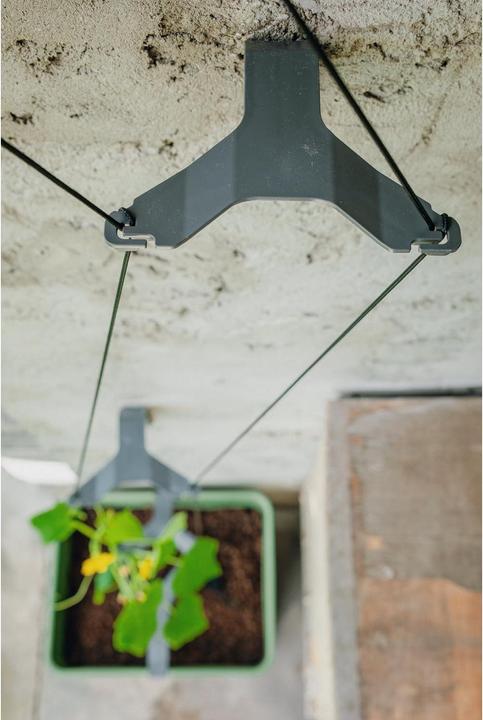Image du produit Gusta Garden CURT CUCUMBER Gurkentopf Grau (28.70 cm, 33.50 cm)