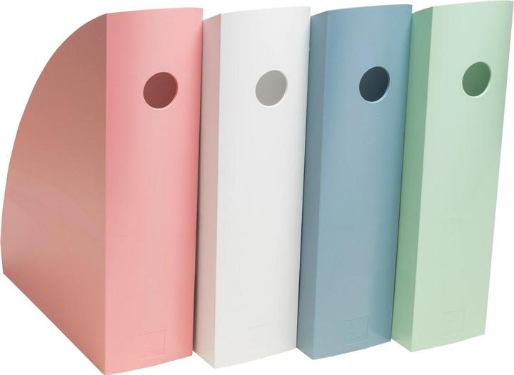 Actual product image Exacompta Magazine file (A4+)
