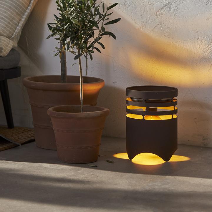 Image du produit Star Trading Marron