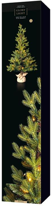 Image du produit STT Arbre nordique (105 cm)