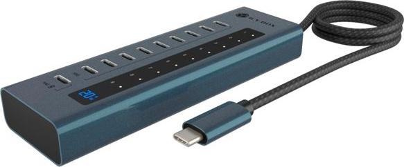 Immagine prodotto Icy Box IB-HUB1450-C31 (USB-C, 10 porte)