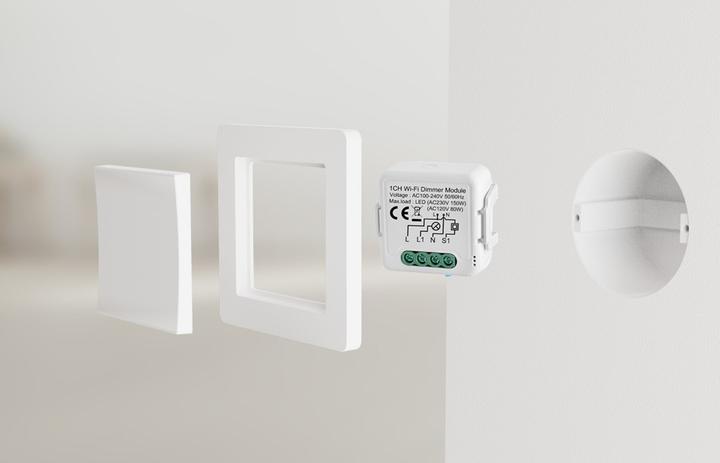 Actual product image Netplus Smart Dimmer Module 2-Channel Zigbee (Dimming actuator)