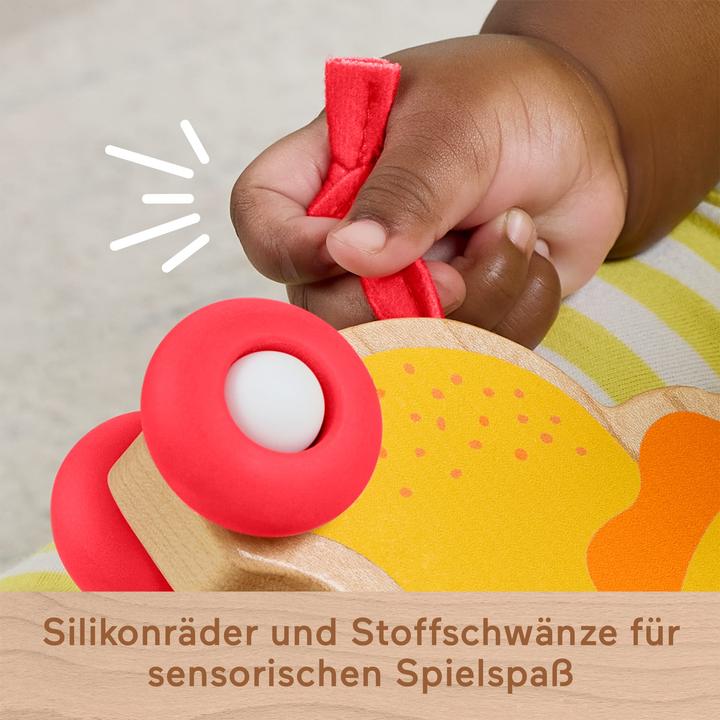 Actual product image Fisher-Price Wooden Push-Along Animals