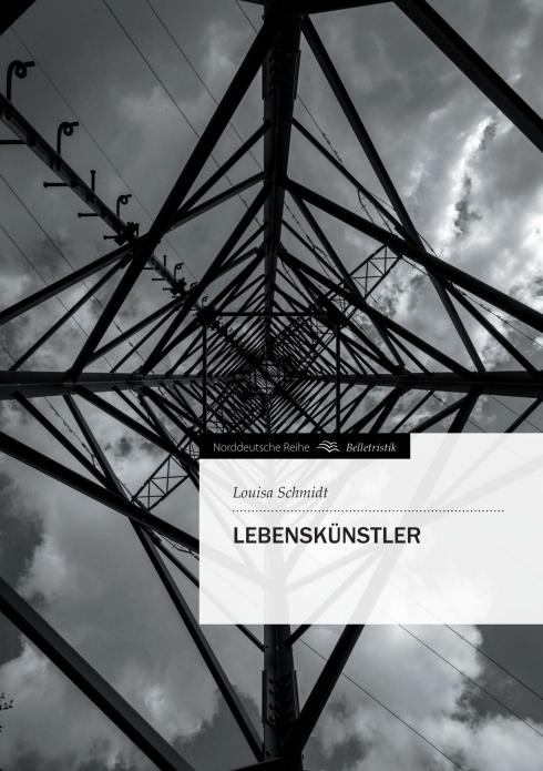 Produktbild Lebenskünstler (Deutsch, Louisa Schmidt, 2013)