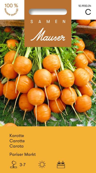 Actual product image Samen Mauser Carrot Paris market (Vegetable seeds)