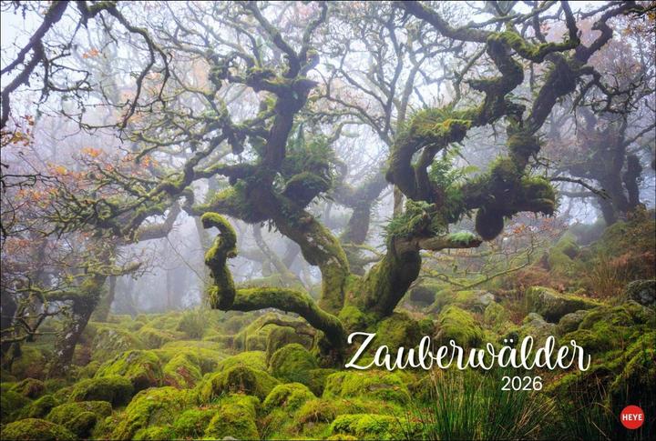 Actual product image Zauberwälder Edition Kalender 2026 (58 x 39 cm)