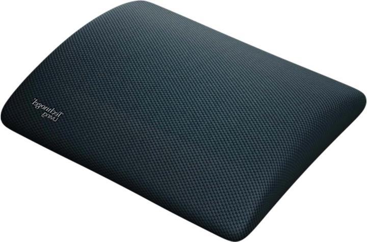 Actual product image Technogel Lordosenstütze (31 x 26 x 6 cm)