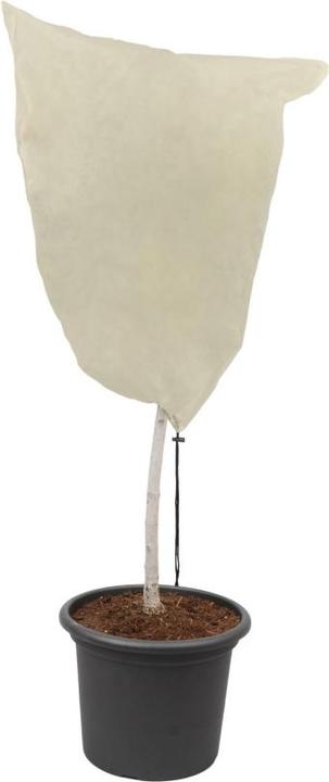 Image du produit Colibri Capuche d'hiver XL