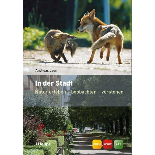 In der Stadt, Ratgeber von Andreas Jaun
