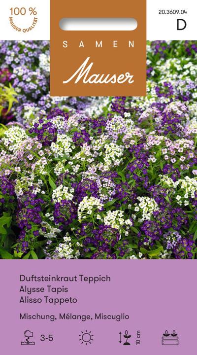 Produktbild Samen Mauser Steinkraut Teppichmischung (Blumensamen)