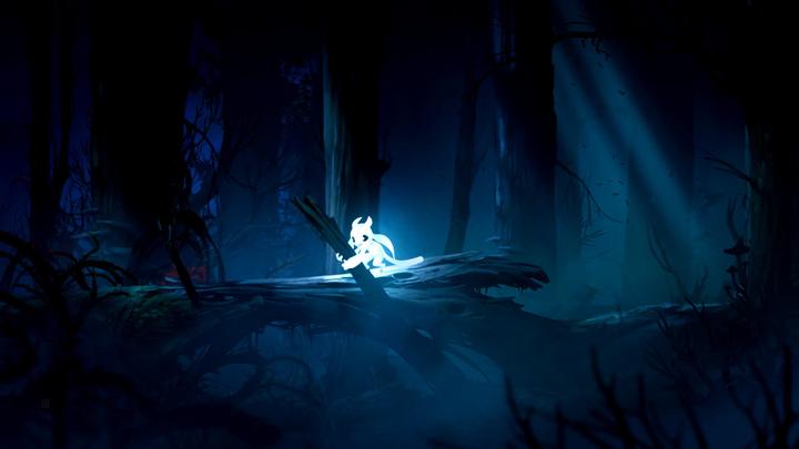 Actual product image Skybound Ori and the Blind Forest Definitve Edition (Switch, DE)
