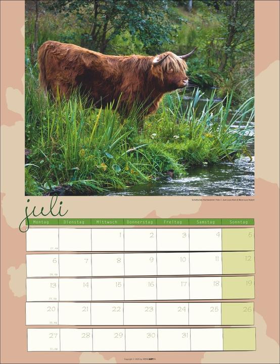 Produktbild Kuh Kalender 2026 (30 x 39 cm)