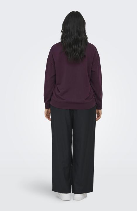 Produktbild Only CARRIRI Sweatshirt Sweatshirt (L)