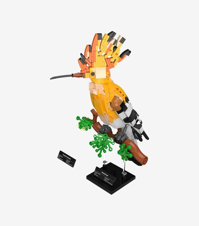 Produktbild BlueBrixx-Pro Wiedehopf