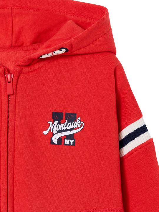 Image du produit Vertbaudet Sweat à capuche garçon avec grand motif au dos (152)