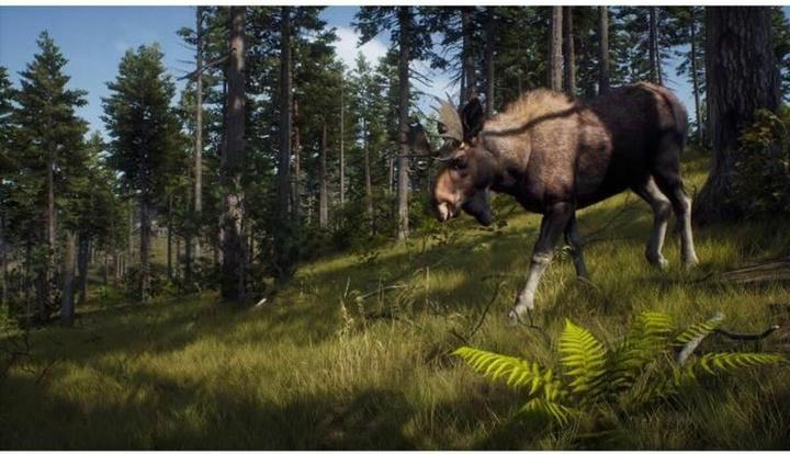 Actual product image THQ Way of the Hunter - Wild Expeditions (Xbox Series X, FR)