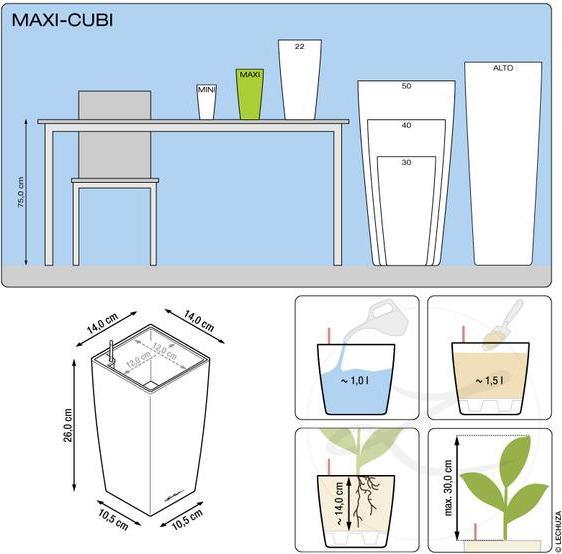Produktbild Lechuza Maxi Cubi (14 cm)