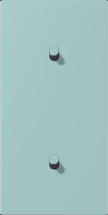 Actual product image JUNG Cover with toggle lever