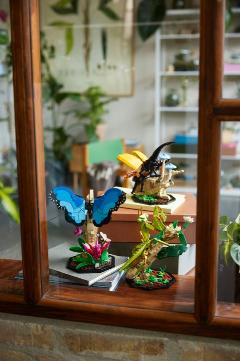 Image du produit LEGO La collection d'insectes (21342, LEGO Ideas)