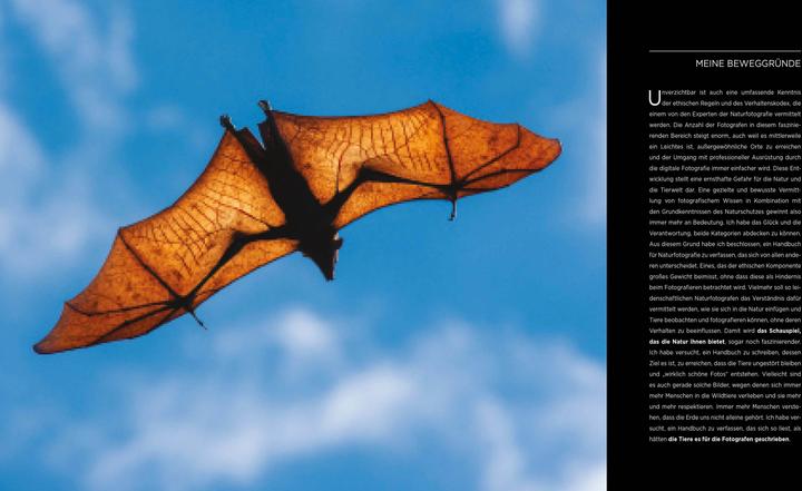 Produktbild Einführung in die Naturfotografie (Deutsch, Iago Corazza, Massimiliano Biasioli, 2022)