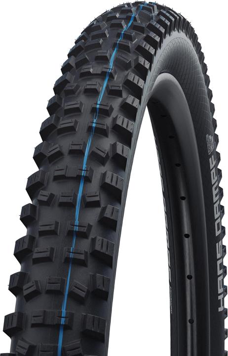 Immagine prodotto Schwalbe Hans Dampf (29 x 2.35, 60-622)