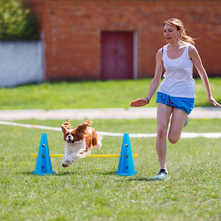 Image du produit Relaxdays Set cônes-barres (Agility)