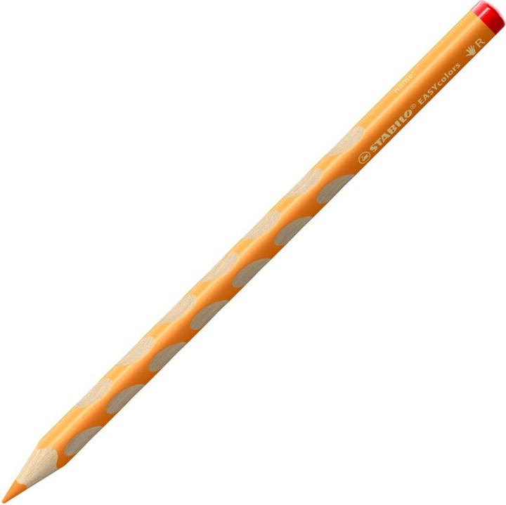 Productafbeelding STABILO Easycolours R, doos van 12 (Bruin, Grijs, Wit, Zilver, Carmine, Goud, Smaragdgroen, Blauw-paars, Marineblauw, Oker, Geelgroen, Groen, 12 x)