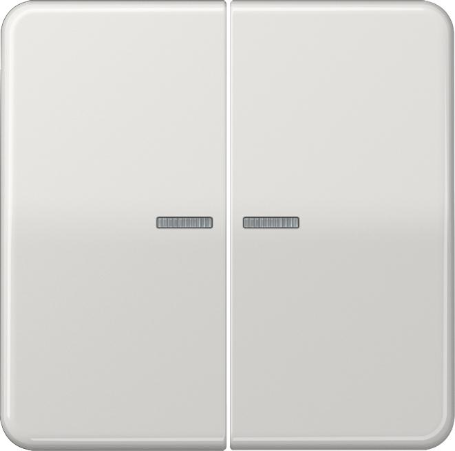 Actual product image JUNG Rocker 2t Switch CD lgr glz Light outlet CD595KO5BFLG