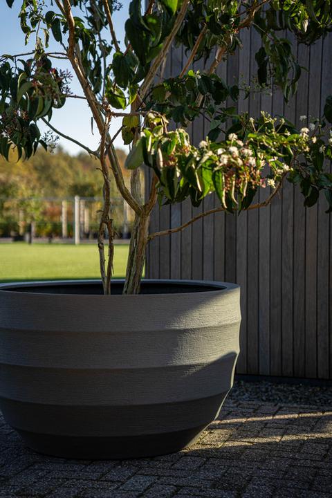 Actual product image Jaco Lite Terra Havanna