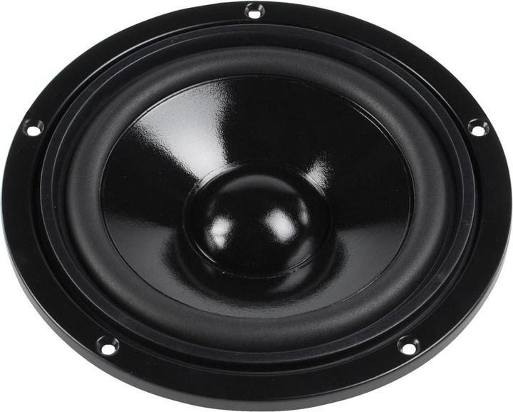 Actual product image Visaton W 170 S
