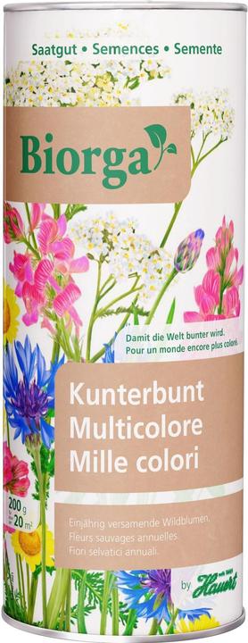 Image du produit Hauert Fleurs sauvages Mélange de graines colorées (Graines de fleurs)