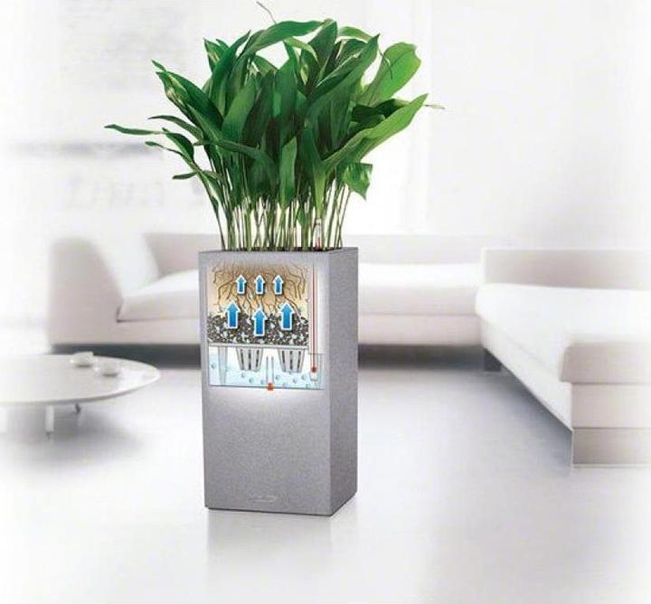 Image du produit Lechuza Colonne Canto Color (30 x 30 x 56 cm)