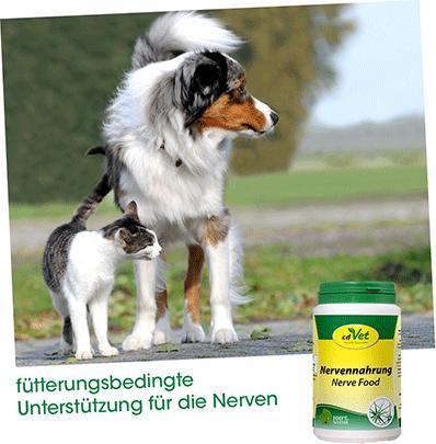 Produktbild cdVet Nervennahrung (Adult, 1 Stk., 180 g)