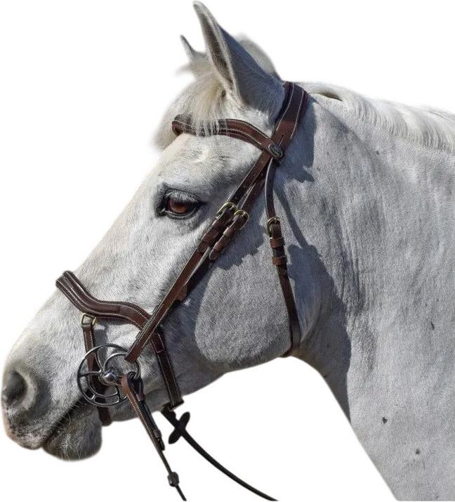 Image du produit - Bride pour chevaux STOCKHOLM