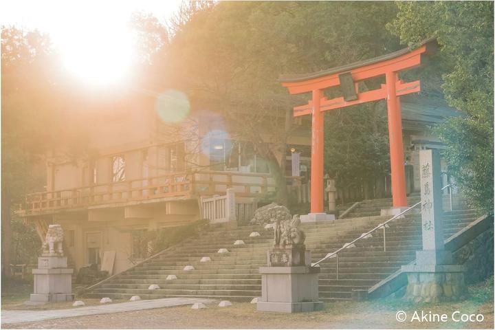 Actual product image Kenko Nostaltone Orange Anime (82 mm, Effect filter)