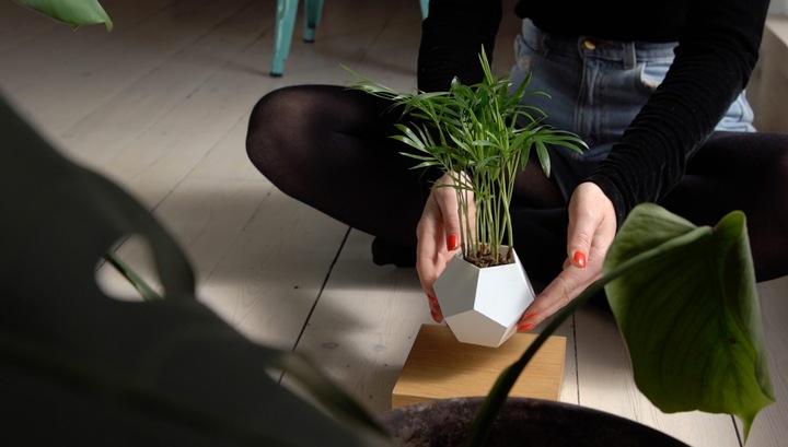 Actual product image Flyte LYFE Planter (154 cm)