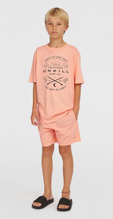 Produktbild O'Neill VERT 14" SWIMSHORTS