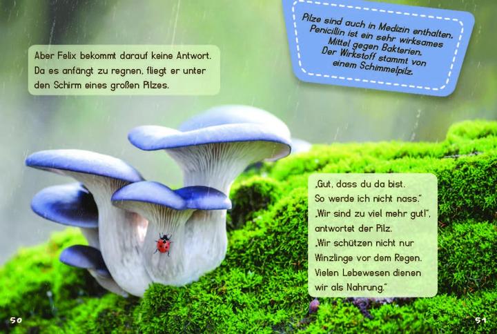 Produktbild Unsichtbare Tiere (Deutsch, Dencker Isabel, Sanna Wandtke, 2023)