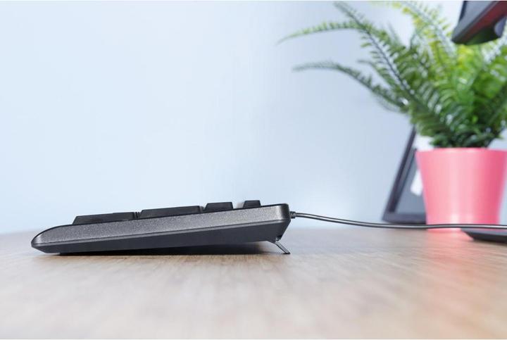 Produktbild Trust Primo Tastatur USB QWERTY US Englisch Schwarz (US, Kabelgebunden)