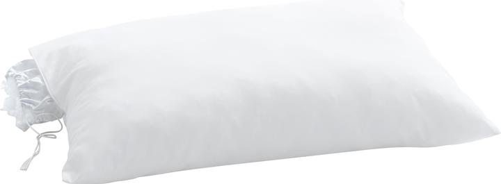 Immagine prodotto Billerbeck Clivia (65 x 100 cm)