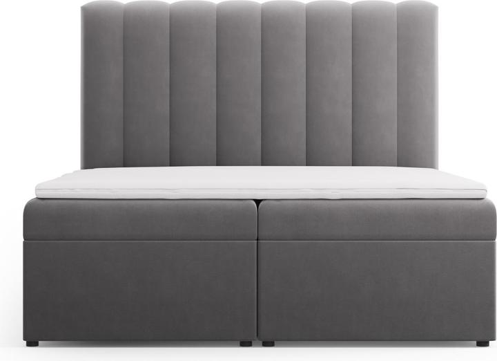 Actual product image Micadoni Kelp (160 x 200 cm)