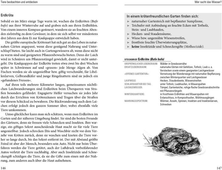 Produktbild Nachts in meinem Garten (Deutsch, Brigitte Kleinod, 2013)