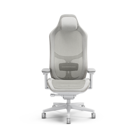 Actual product image Fractal Gaming chair Refine Mesh Light (shipping)