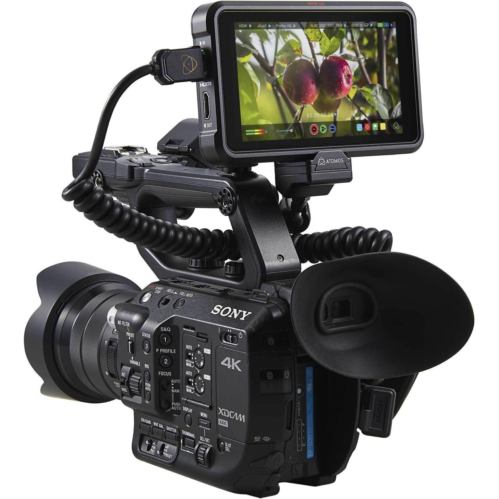 Atomos Ninja V - buy at Digitec