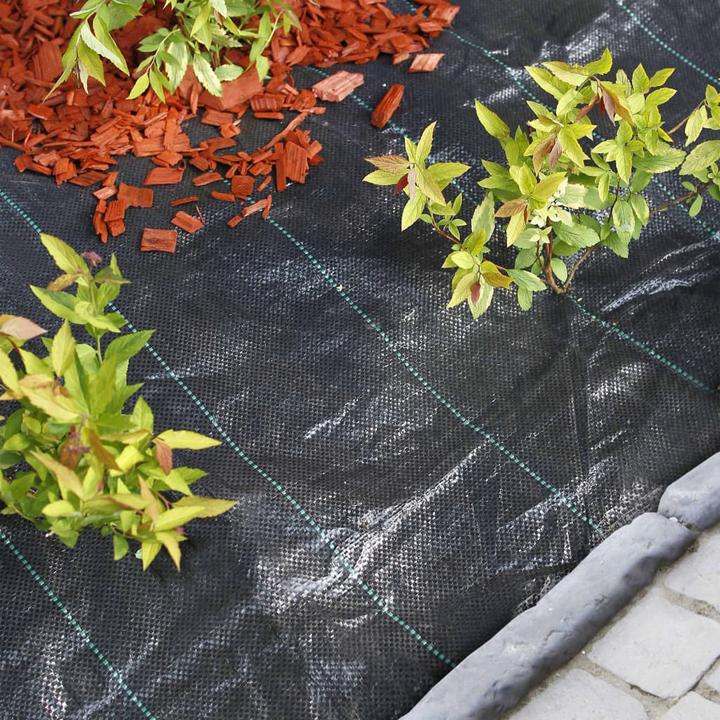 Produktbild Nature Gran (2500 cm, 210 cm)