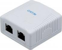 Actual product image Dexlan Wallmount Box Cat.5e Shielded- 2 x RJ45