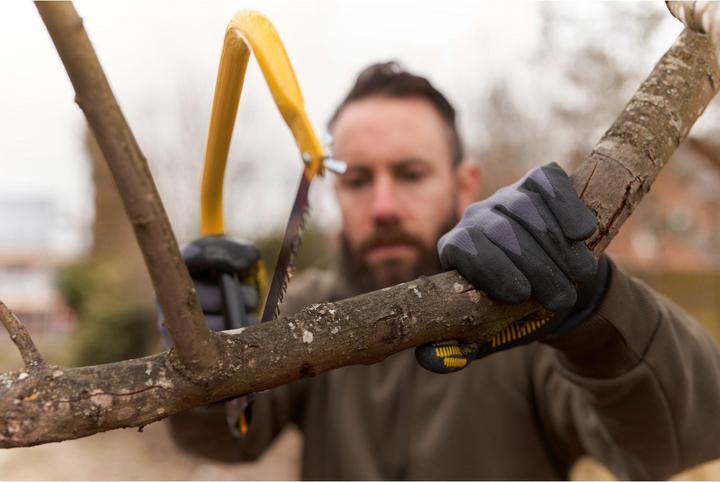 Immagine prodotto Stanley Seghetto HP