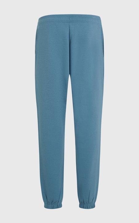 Actual product image O'Neill The Future Surf Society Sweatpants (M)