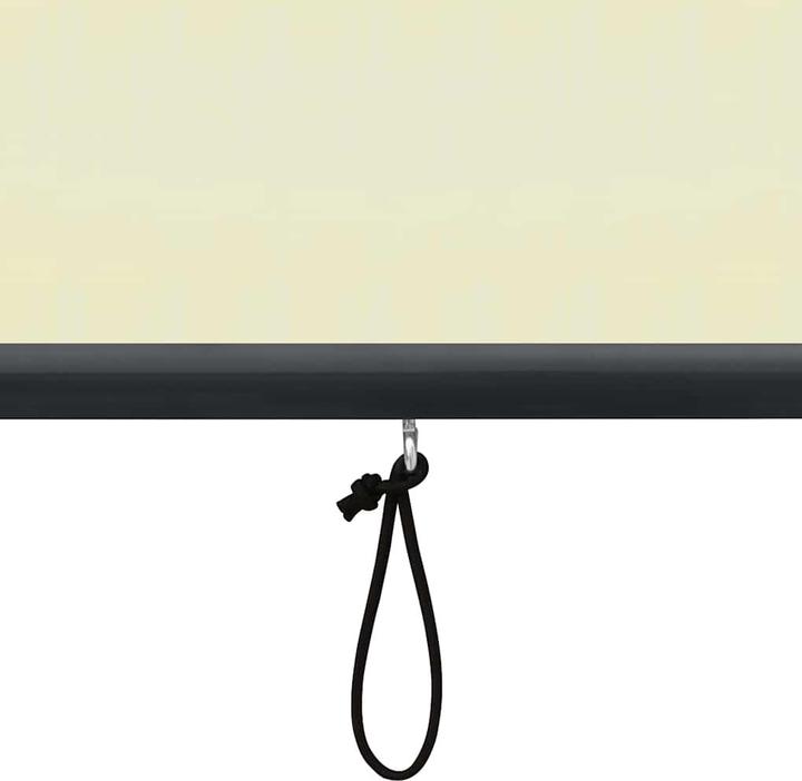 Produktbild vidaXL Aussenrollo (160 x 250 cm)